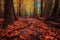 fallen leaves creating a vibrant path in the forest