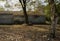 Fallen leaves on ground and rural tile-roofed house in sunny win