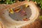 FALLEN LEAVES IN A STONE BIRDBATH