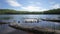 Fallen logs on Mayflower Lake