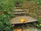 A fallen maple leaf lies on a wet old narrow concrete staircase