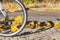 Fallen maple leaves between spoked bicycle wheel