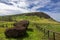 Fallen Moai Sculpture Lying in Grass Field