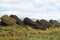 Fallen Moais - Easter Island