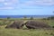 Fallen moui at the Easter Island, Chile.