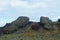 Fallen moui at the Easter Island, Chile.