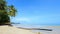 Fallen palm tree on the beach