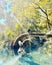 Fallen palm tree bent over in blue spring waters, Silver Springs State Park, Florida