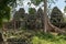 Fallen rocks and trees behind stone temple