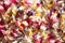 Fallen scattered colored flower petals blurred background close up
