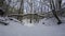 Fallen snow-capped tree in the ravine