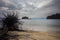 Fallen tree on the beach of Pantai Tanjung Rhu on the malaysia island Langkawi. Clouds over the bay. Silky water. Silk effect in