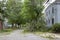 Fallen tree on beech street after hurricane dorian