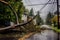 fallen tree branch entangled with power lines post-storm