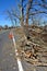 Fallen tree branch on a Road after a Strong Storm