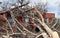 Fallen Tree on Brick House