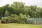 Fallen tree damaged power lines in the aftermath of severe weather and tornado in Ulster County, New York