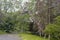 Fallen tree damaged power lines in the aftermath of severe weather and tornado in Ulster County, NY