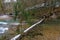 Fallen tree in Eistobel gorge, Germany