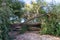 Fallen tree after extreme weather disaster like storm, hail storm or blizzard shows severe demolition of nature