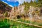 Fallen tree in Hanging Lake, Colorado, USA.