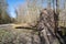 Fallen tree in Harderbos remains food for mosses, fungi, mushrooms and insects