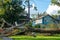 Fallen tree from Hurricane Ida in Uptown Neighborhood of New Orleans