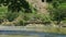 Fallen tree on river bed