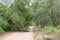 Fallen tree on the road through Baviaanskloof