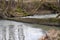 Fallen Tree trunk lies over the River