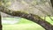 Fallen tree trunk with mold and moss in a park with a playground