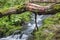 Fallen tree trunk over stream