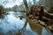 Fallen Tree trunk and roots uprooted near woods lake stream