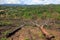 Fallen trees as a result of illegal logging and deforestation for agriculture in rainforest of Thailand