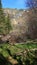 Fallen trees in avalanche area, Velky Kotel, Jeseniky mountains