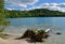 Fallen Trees in a Blue Lake, Surrounded by Forest