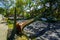 Fallen trees damaged power lines, sidewalk and car in the aftermath of severe weather as tropical storm Isaias hits New York City