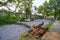 Fallen trees damaged power lines, sidewalk and car in the aftermath of severe weather as tropical storm Isaias hits New York City