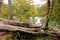 Fallen trees at Plitvice Lakes National Park in Croatia