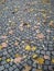 Fallen, withered yellow and brown maple leaves lie on the paving stones. The fading of nature on a rainy day. Gray old stone tile