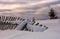 Fallen wooden fence on snowy hillside