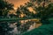 Fallen yellow petals of Padauk flowers covering the pond with evening sky at Phutthamonthon public park,Nakhon Pathom Province,Tha