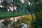 Fallen yellow petals of Padauk flowers covering the pond with evening sky at Phutthamonthon public park,Nakhon Pathom Province,Tha