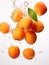 Falling Apricot on white back drops