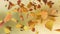 Falling autumn leafs loopable background