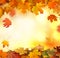 Falling autumn leaves natural background