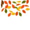 Falling autumn leaves. Red, yellow, green, brown n