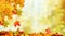 Falling autumn maple leaves natural background