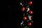 Falling bacon, cherry tomatoes, parsley on a black background with water drops, freeze in motion, cooking and recipe books, banner