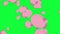 falling bank pigs group animation green screen chroma key